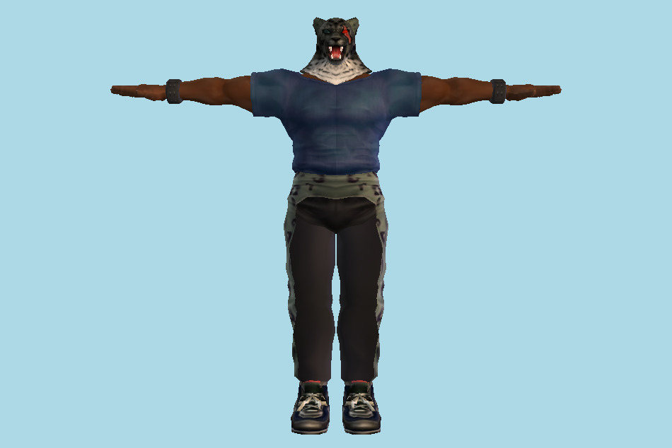 Tekken King Tag Tournament 3d model