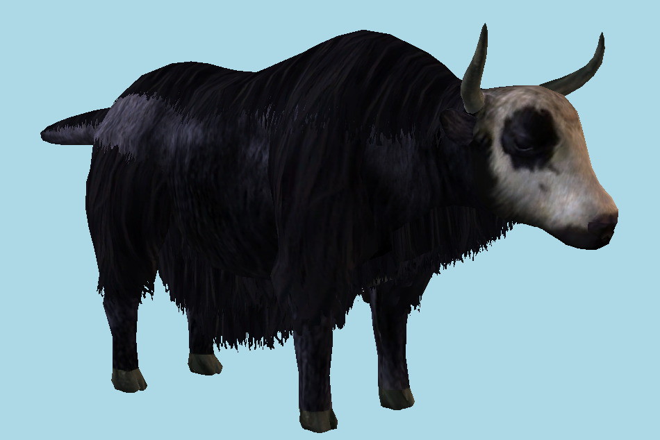 Yak Bull 3d model