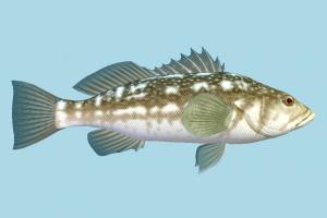Fish fish, sea-creature, fishing, sea