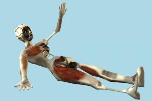 Zombie zombie, skeleton, anatomy, bloody, character, human, lowpoly