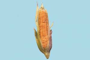 Corn fruit, vegetable, food, scanned