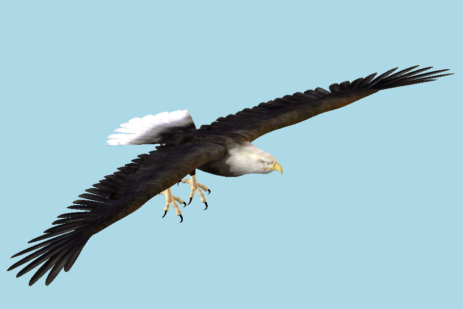Black Falcon 3d model
