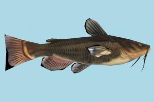 Fish fish, sea-creature, fishing, sea