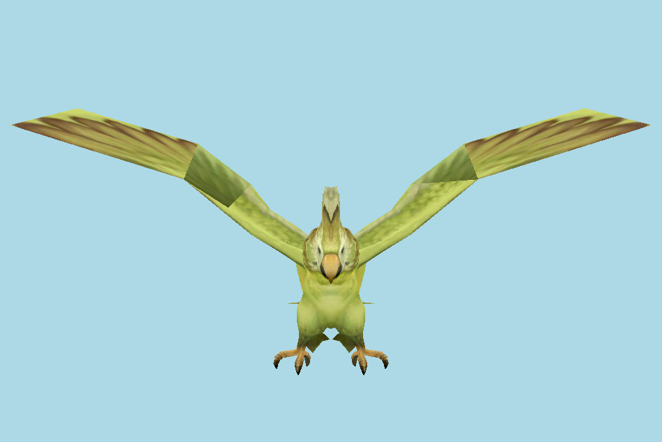 Green Quaker Parrot 3d model