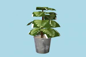 Plant vase, plant, houseplant, plants