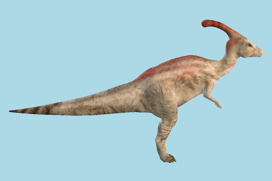 Parasaurolophus Dinosaur 3d model
