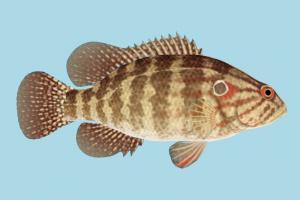 Fish fish, sea-creature, fishing, sea