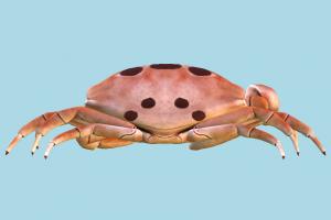 Crab Crab-3