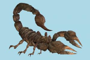 Scorpion scorpion, stinger, gecko, insects, toxic, creature, nature, horror
