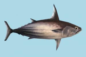 Fish fish, shark, whale, sea-creature, fishing, sea, lowpoly