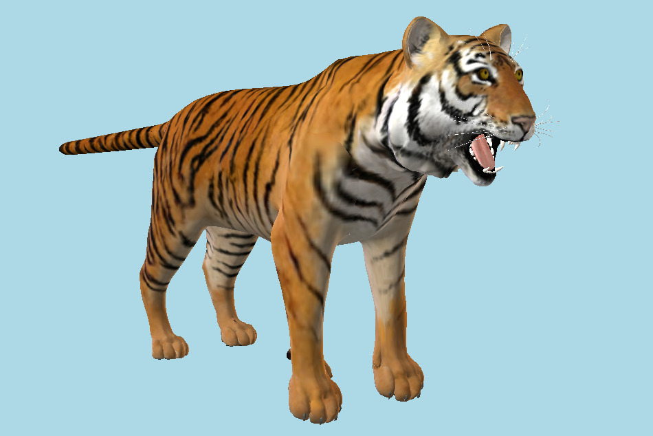Tiger 3d model