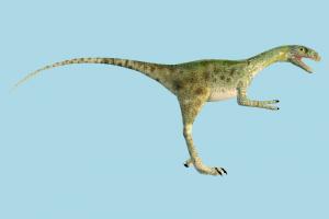 Dinosaur diplodocus, dinosaur, wild, nature, animal, animals, mammal, jungle