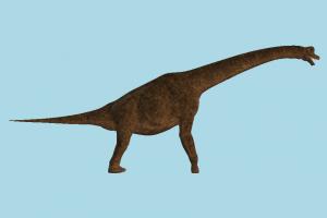 Dinosaur diplodocus, dinosaur, wild, nature, animal, animals, mammal, jungle
