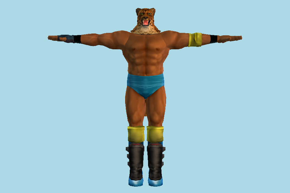 Tekken King Tag Tournament 3d model