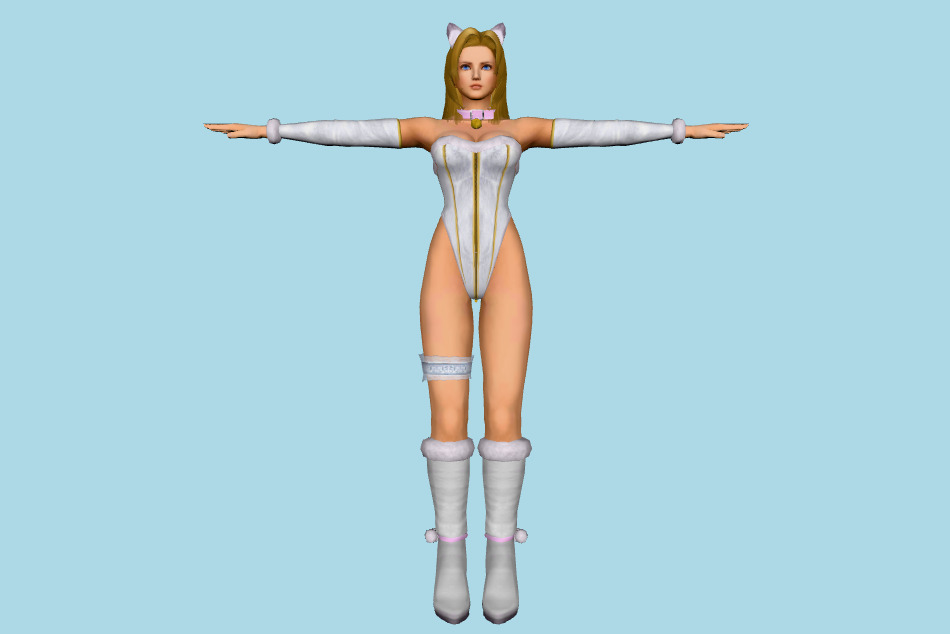 Dead or Alive 5 - Dimensions - Tina Armstrong 3d model