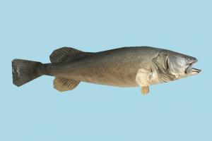 Fish fish, sea-creature, fishing, sea, lowpoly