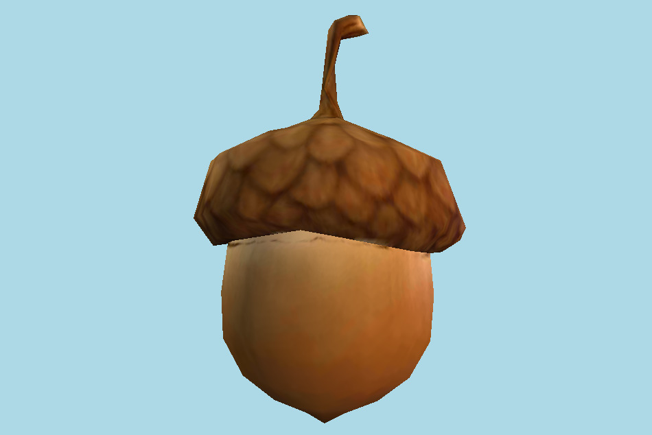 Acorn 3d model