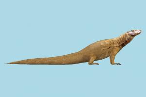 Chameleon chameleon, lizard, alligator, crocodile, caiman, reptiles, reptilians, animal, animals, wild, nature, jungle