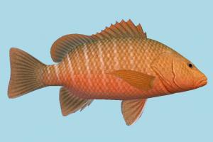 Fish fish, sea-creature, fishing, sea
