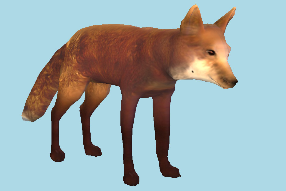 Red Fox 3d model
