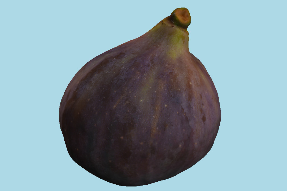 Black Fig 3d model