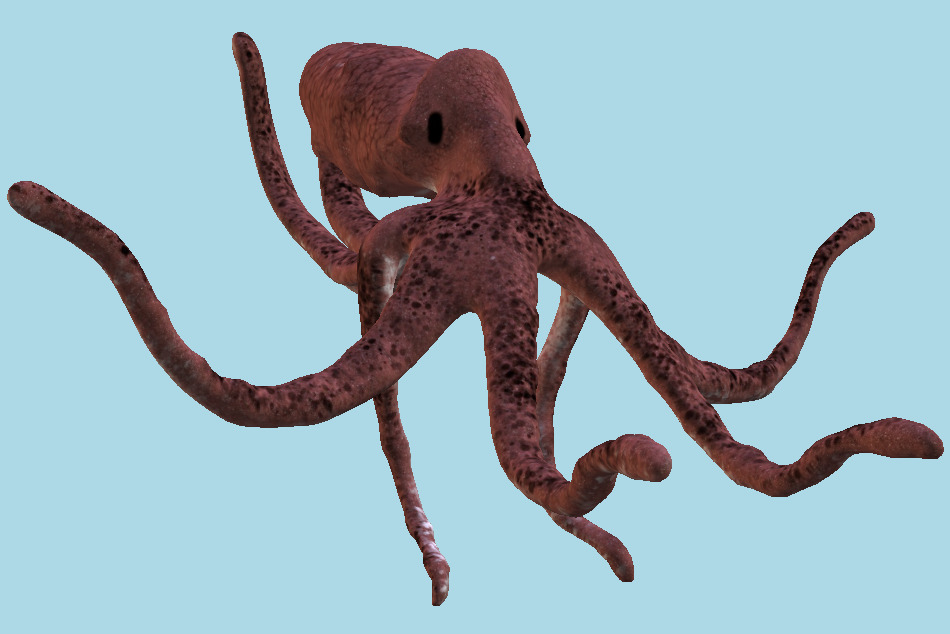 Octopus 3d model