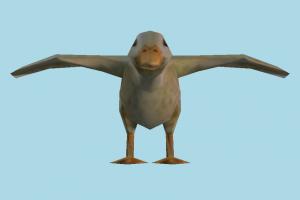 Duck duck, bird, air-creature, nature, lowpoly