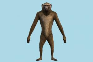 Wolverine Monkey monkey, ape, champangi, animal, animals, wild, natural, animal-character, character