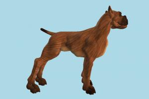 Dog dog, animal, animals, camel