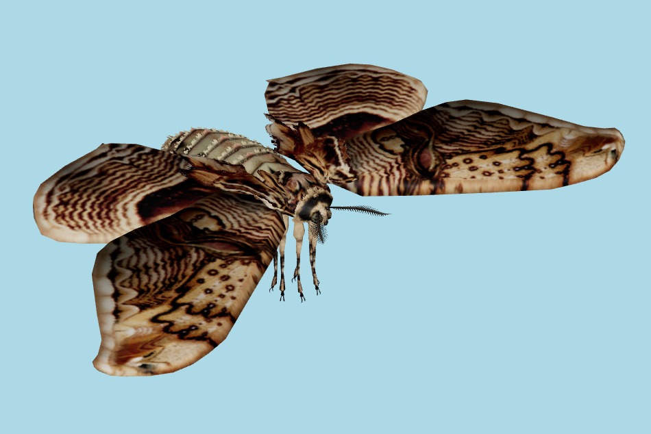 Resident Evil: Chronicles - Giant Gypsy Moth 3d model
