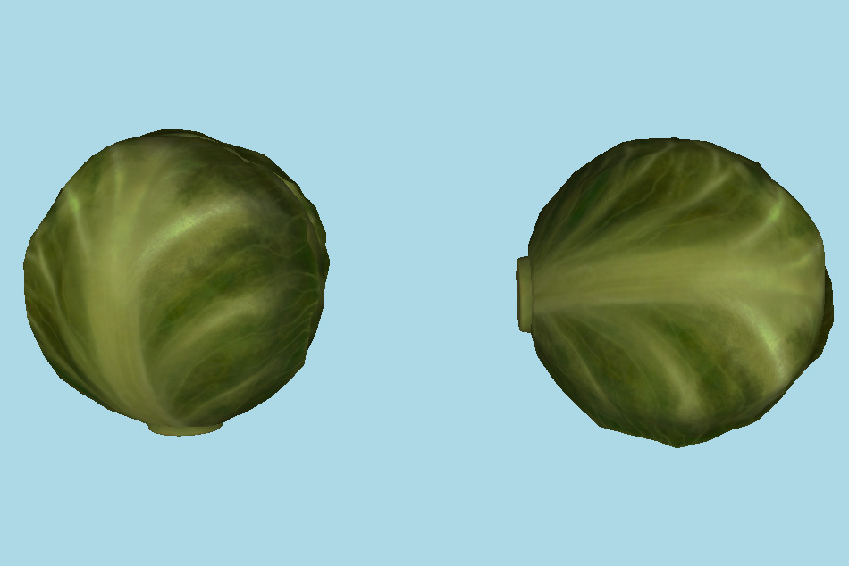 Cabbage 3d model