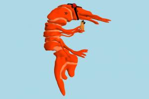 Shrimp shrimp, hippopotamus, sea-horse, river-horse, sea-creature, fish, fishing, sea, ocean