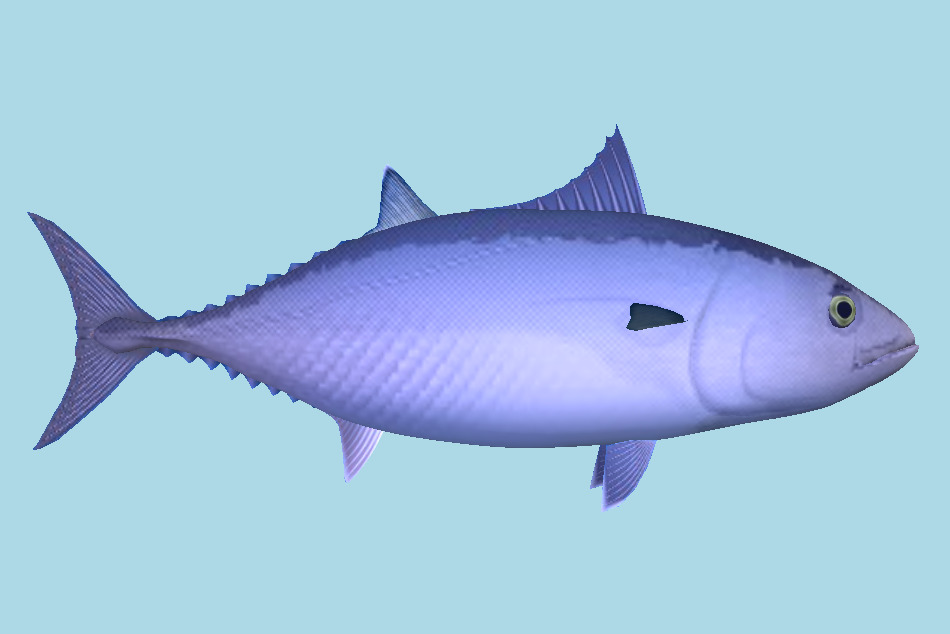 Fish 3d model