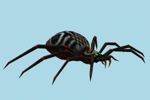 Spider spider, bugs, insects, horror