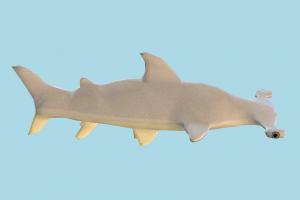 Shark hammerhead, shark, whale, fish, sea-creature, fishing, sea
