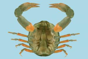 Crab Crab-3