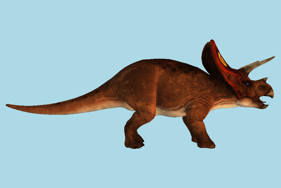 Triceratops Dinosaur 3d model