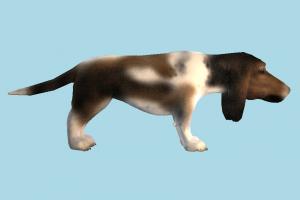 Dog dog, animal, animals, wild, nature