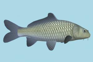 Fish fish, sea-creature, fishing, sea