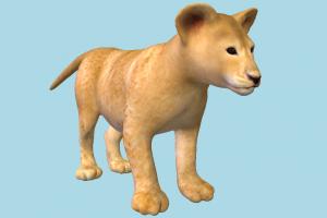 Lion Cub lion, animal, animals, wild, nature, mammal, ruminant, zoology, africa, carnivore, predator, prey