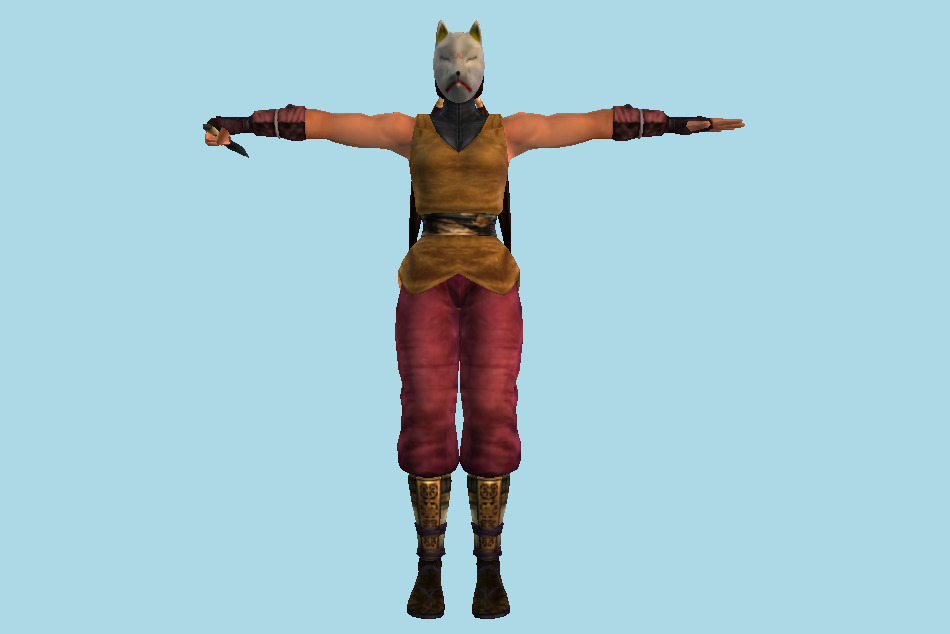Tekken Kunimitsu Tag Tournament 3d model