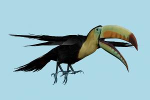 Toucan Resident-Evil, RE, resident, evil, bird, xna, rigged