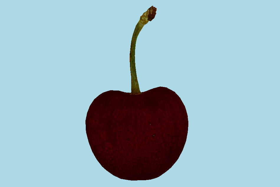 Bing Cherry (Surface Macro) 3d model