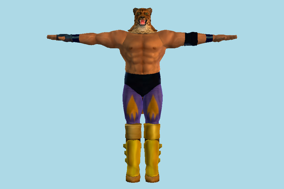 Tekken King Tag Tournament 3d model