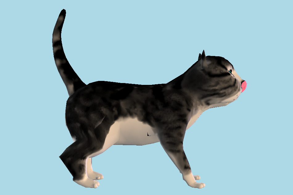 Cat 3d model