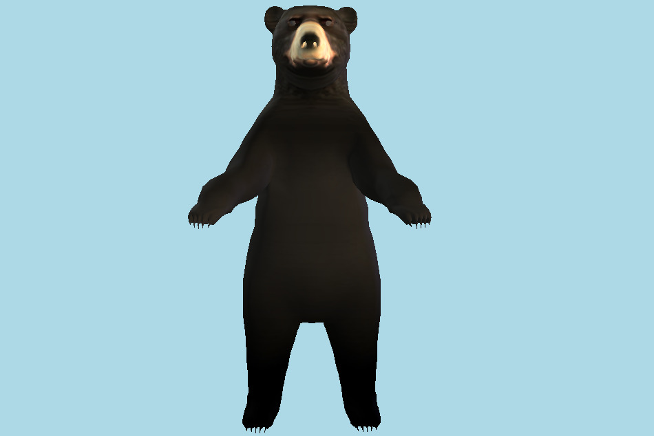 Black Bear 3d model