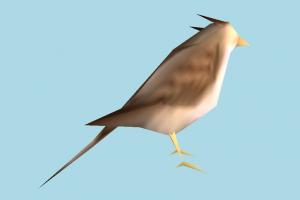 Bird bird, air-creature, nature, lowpoly