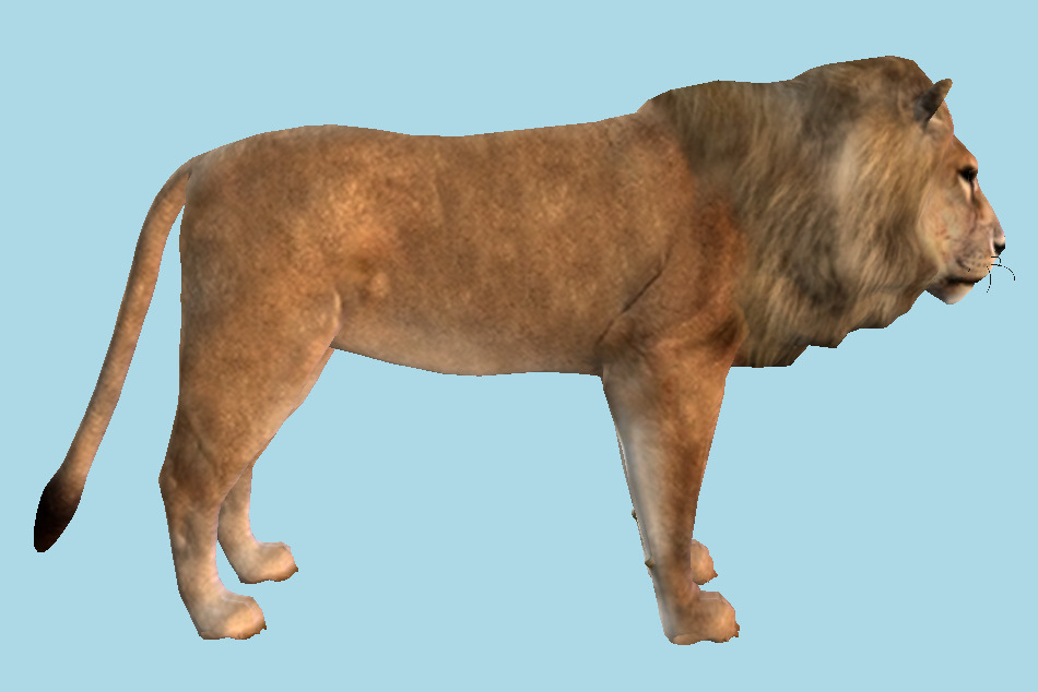 Lion Wild Animal 3d model