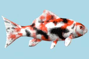 Koi Fish fish, sea-creature, fishing, sea, ocean