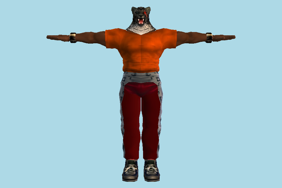 Tekken King Tag Tournament 3d model